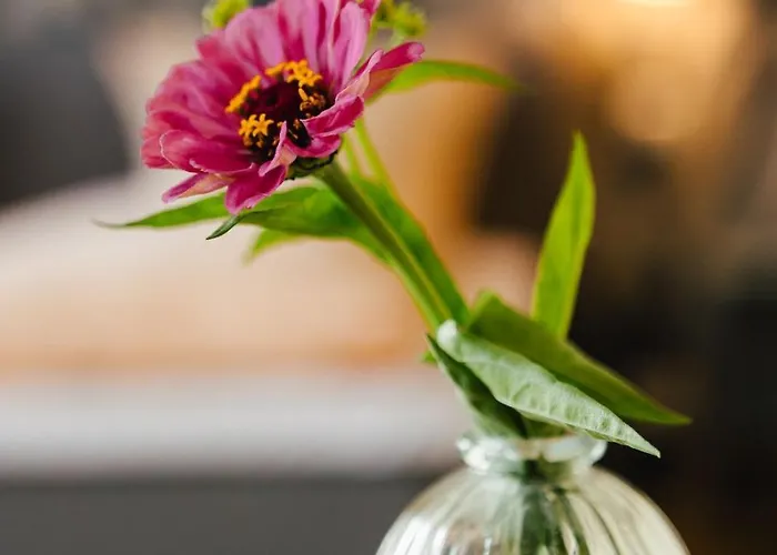 拉本斯泰因酒店 酒店